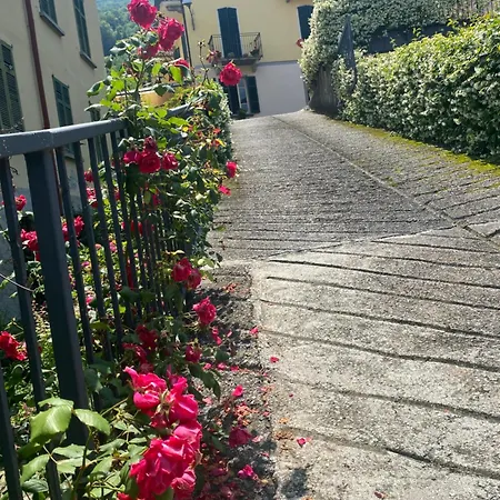 Peonia - Vista Apartment