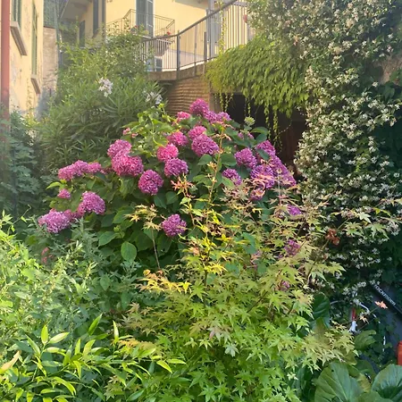 Peonia - Vista Appartamento