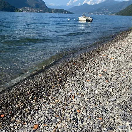 Peonia - Vista לצנו