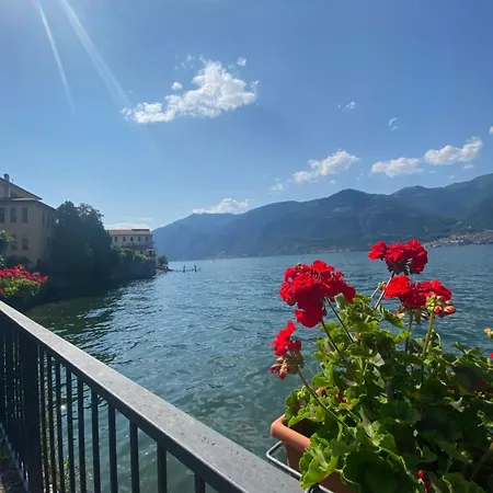 Apartmán Peonia - Vista